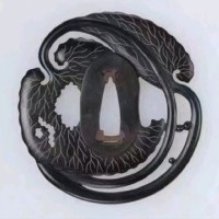 杨梓涵