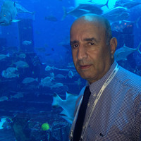 Mahmoud Taha