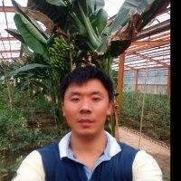 陈立梁