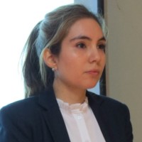 Constanza Fredes Ferreira