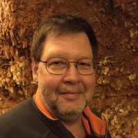 Tim Yohe