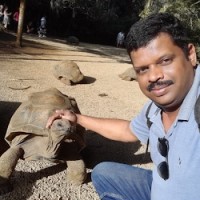 Gireesh G