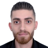 Amer Ali