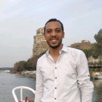 Bassem Hussein