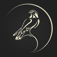 Falcons Pictures