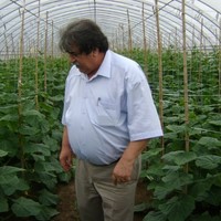 hacı bozok
