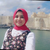 Nourhan Abdelhamid