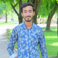 Mirza Safeer