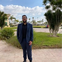 Sameh Ayoub
