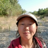 Tracy Park