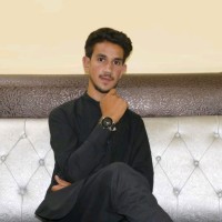 Qaisar Ameer