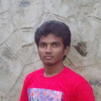 Raja Lingam