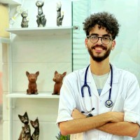 Mahmoud Badr