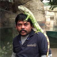 Iyappan Paramasivan