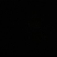 P L