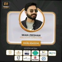 Mian Zeeshan