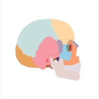 Constanza Torres Soto