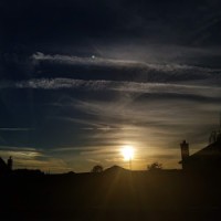 Amara Vickers