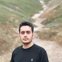 Amirhessam Mohseni