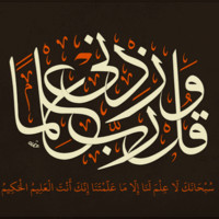 Hamada yehia