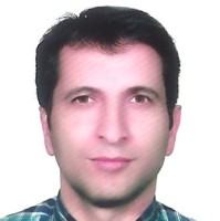 M. Alizadeh