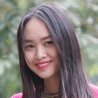 Han Nguyen
