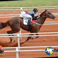 Gastao GLA GLADSTON( GASTAO) Socia Luciana Damasceno