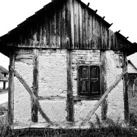 Đan-Karlo Dukić