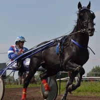 Roelandt Wim