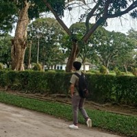 Wanda Hadis Suara