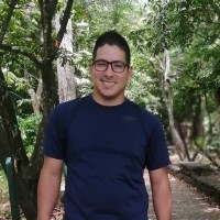 Pedro Toro