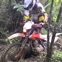 Terwak Honda
