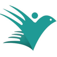 VIBRANT NDT SOLUTIONS PRIVATE LIMITED