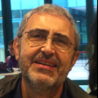 Vincenzo Piccialli