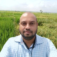 Avijit Das