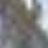 A_ Human