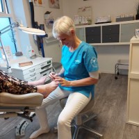 Vibeke Elsborg Lund
