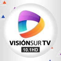 VISIÓN SUR TV