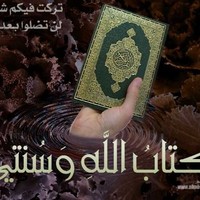 mohamedadel elmekawy