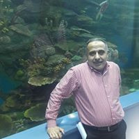 علي بكور