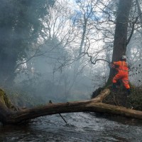 Charlie Knight