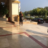narges abedi