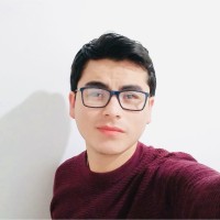 Erick N. Montesinos Flores