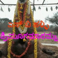 Chaluvaraju S n