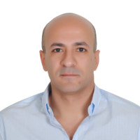 Hesham Elshafei