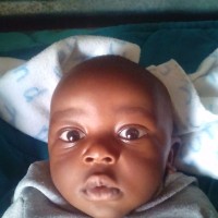 Johannes Shihala