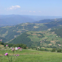 Sladana Andric