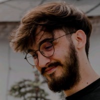 Razvan Lapuste