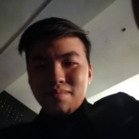 Teo Chi Hung Brian Nikolas