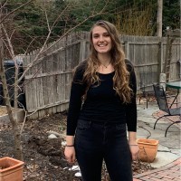 Ariana Mortello